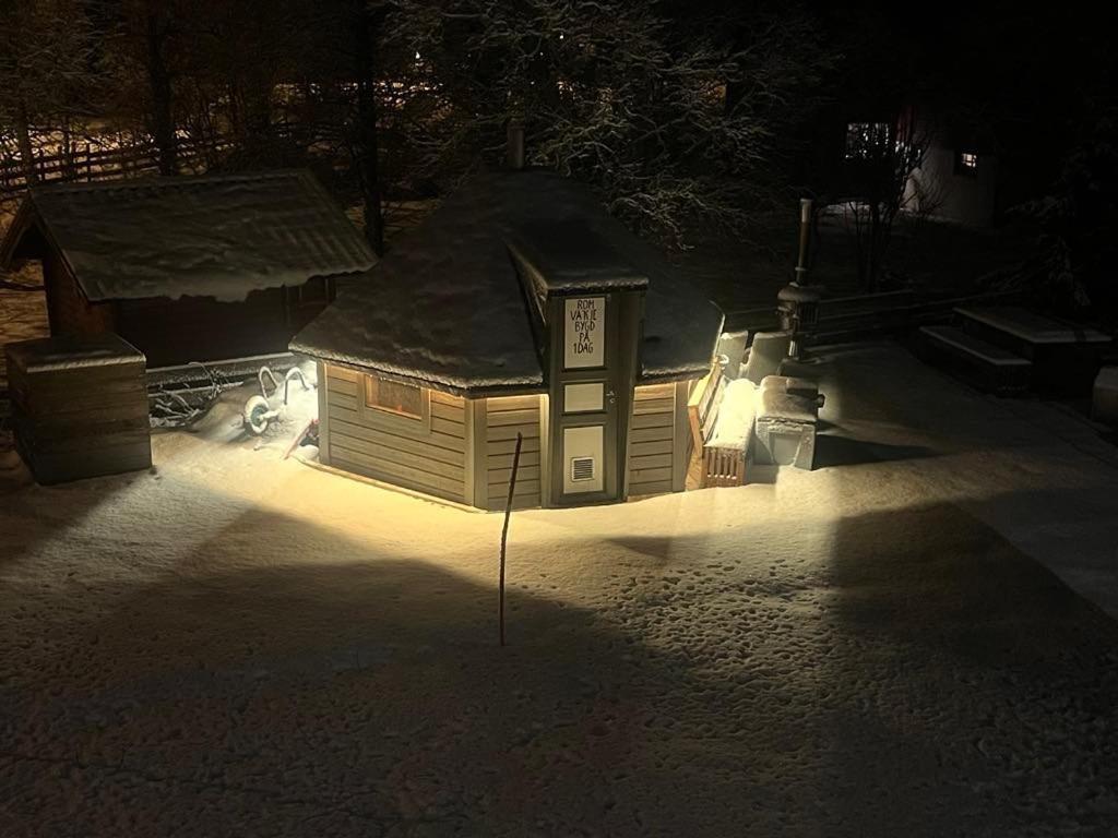 Arctic Tonsvik Appartement